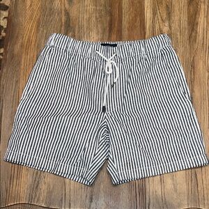 AE 7" Striped Lived-In Trekker Short